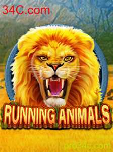 RunningAnimals: O Jogo que Une Velocidade e Estratégia